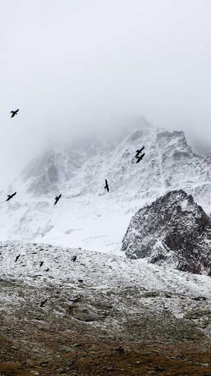 seo每日一贴截图5