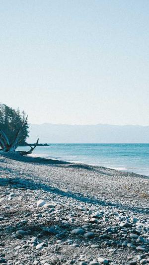 网站建设团队截图3