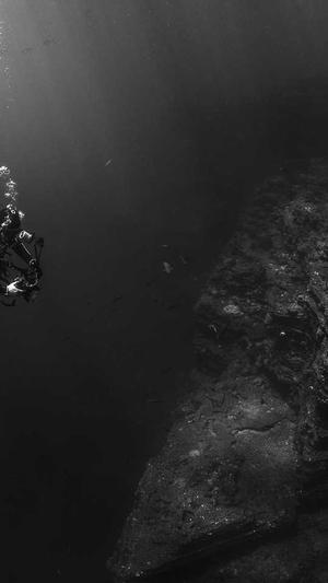 百度seo关键词优化截图5