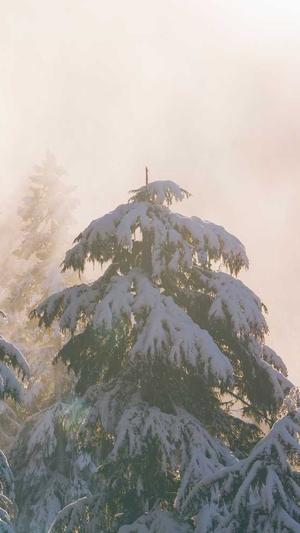 站群程序seo工具截图3