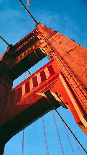 怎么搭建网站蜘蛛池截图3