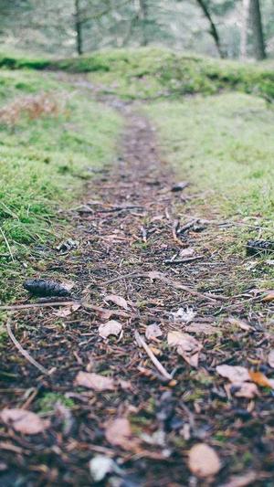 郑州企业网站建设截图3