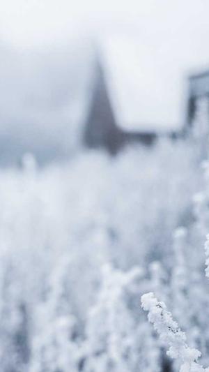 seo外链推广截图1