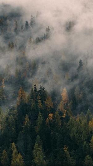 网站建设团队截图2