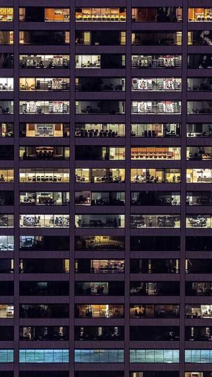 小旋风蜘蛛池原理截图4