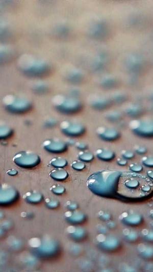 seo工具网址截图5