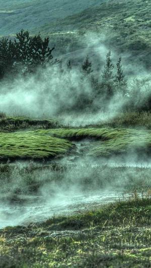 桂林网站建设截图2