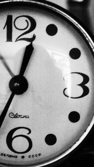 泛目录程序推广截图3