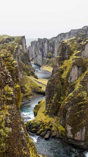 蜘蛛池源码截图1