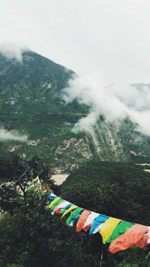 超级蜘蛛池是骗子截图1