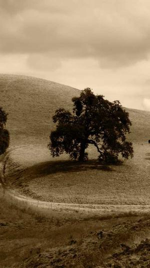 重庆网站seo公司截图2